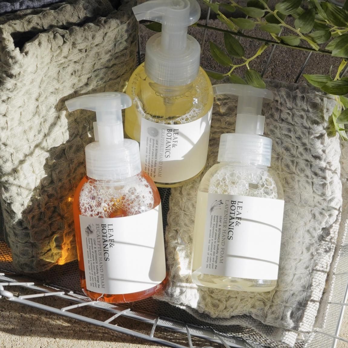 リーフアンドボタニクス | 泡ハンドソープ - Anchor Bridge アンカー