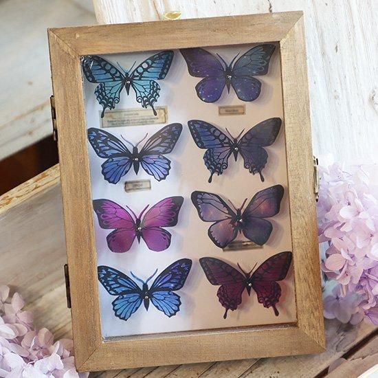 蝶標本箱-星空コレクション-（8匹入り） - 海福雑貨通販部