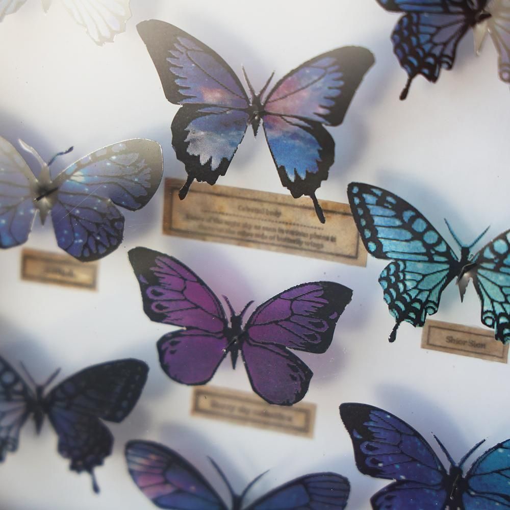 蝶標本箱・星空コレクション・紫（9匹入り） - 海福雑貨通販部