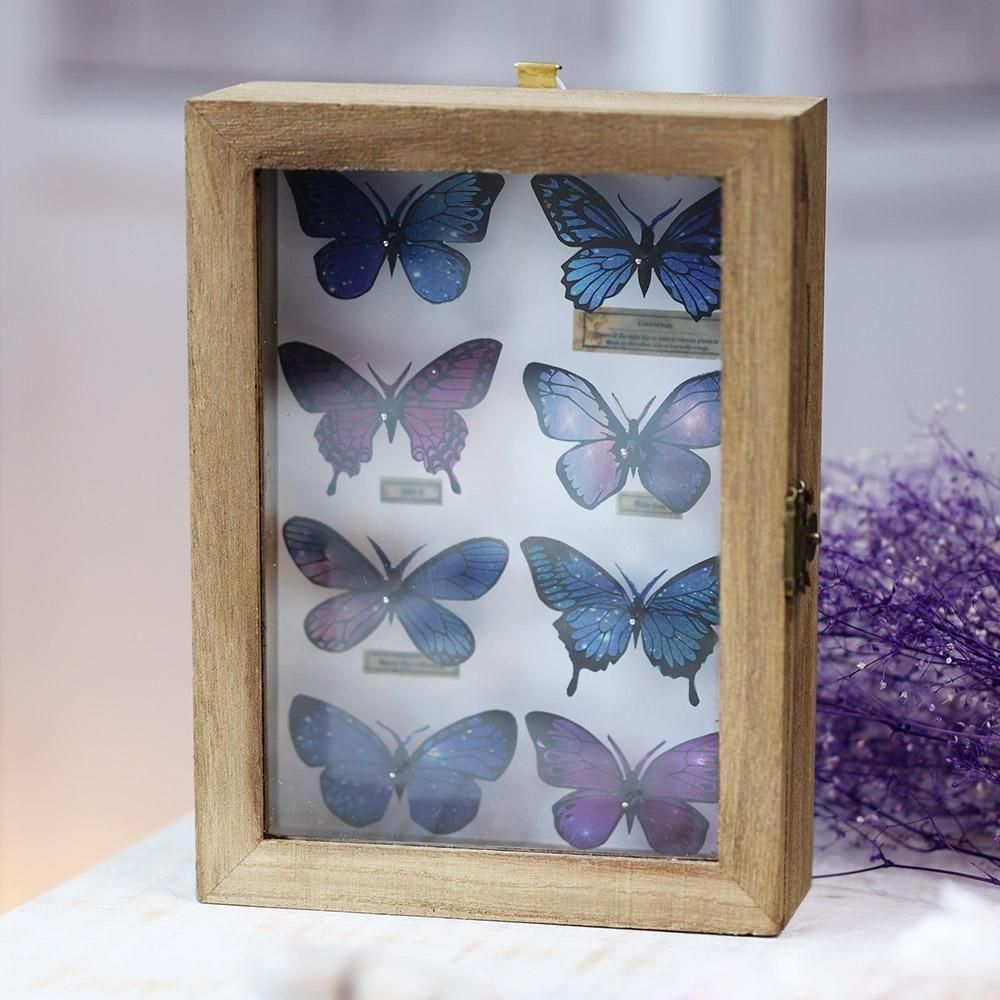 蝶の標本セット（多種類・多色） 蝶の標本セット（多種類・多色） 蝶の