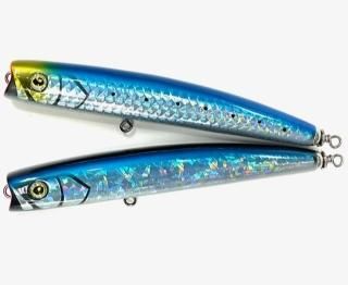 フラッシュユニオン - HEAD & TAIL Web Shop