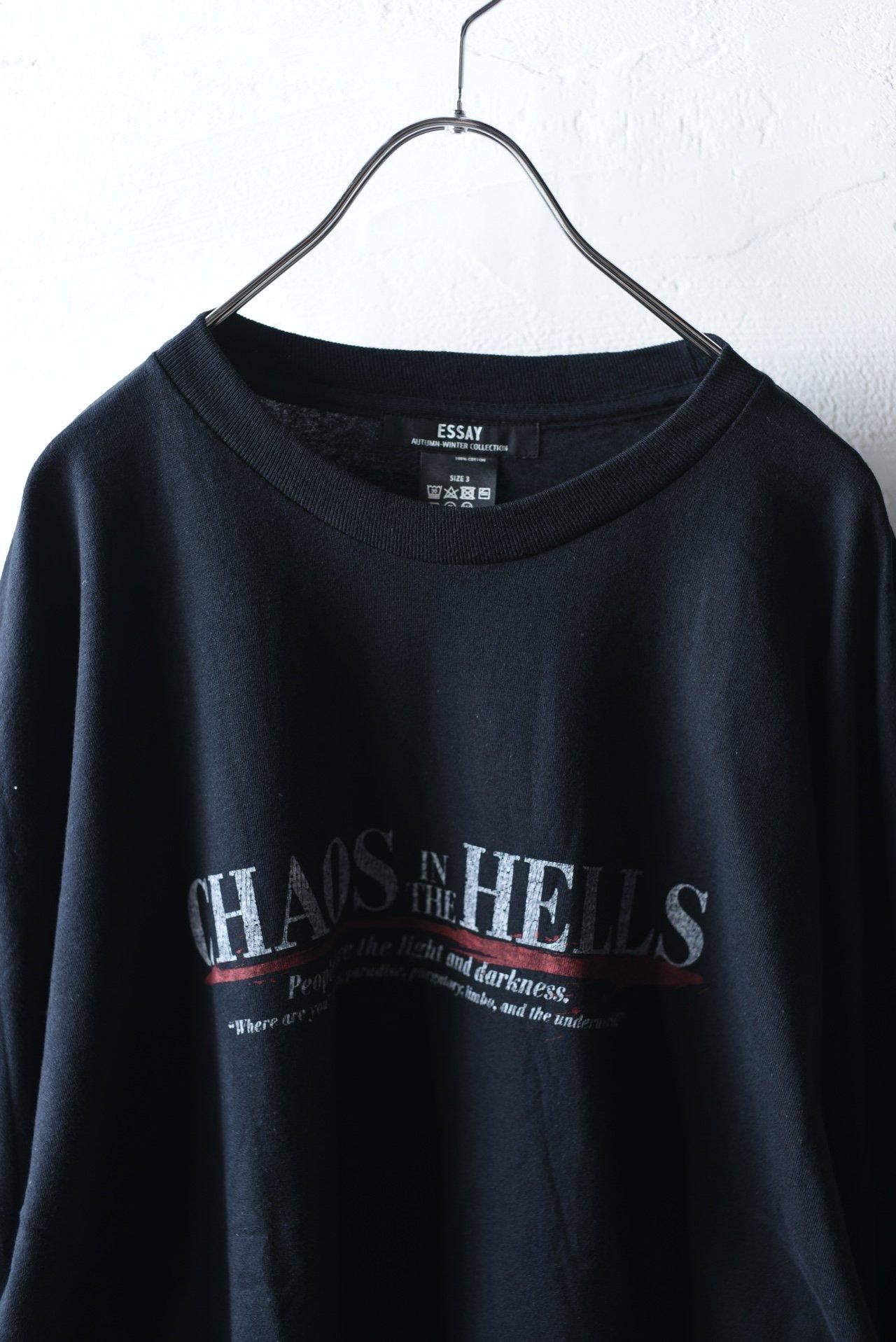 希少 Hawthorne Centenary Essays 希少 Hawthorne Centenary Essays