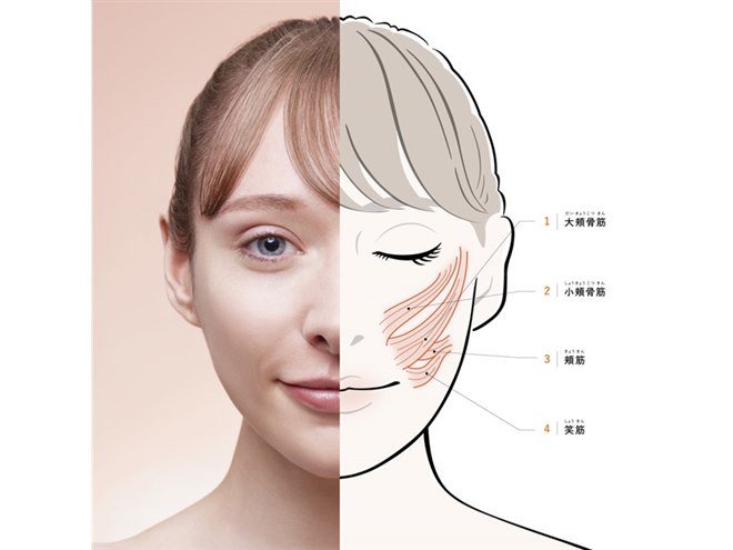 MTG、顔の表情筋を効率的に鍛えるEMSを搭載した「SIXPAD Facial Fit