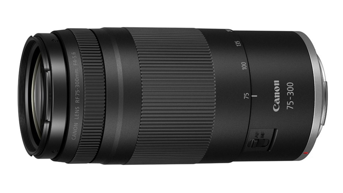 美品・超望遠】Canon キャノン EOS KISS EF 75-300mm 1:4-5.6 Ⅱ レンズ
