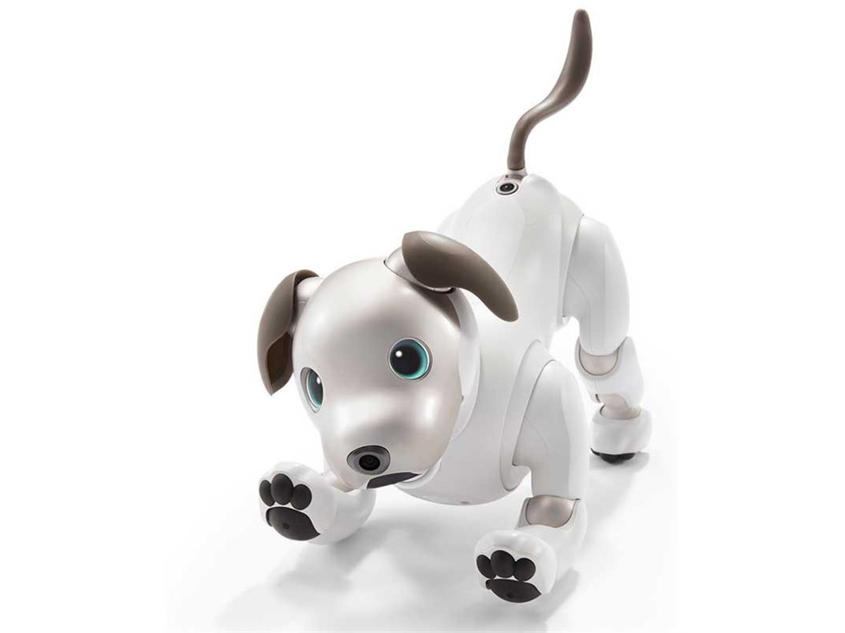 aibo」が我が家にやってきたら？ 価格.comユーザーアンケートの結果は