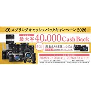 ニコン D5000シリーズのデジタル一眼カメラ 比較 2026年人気売れ筋