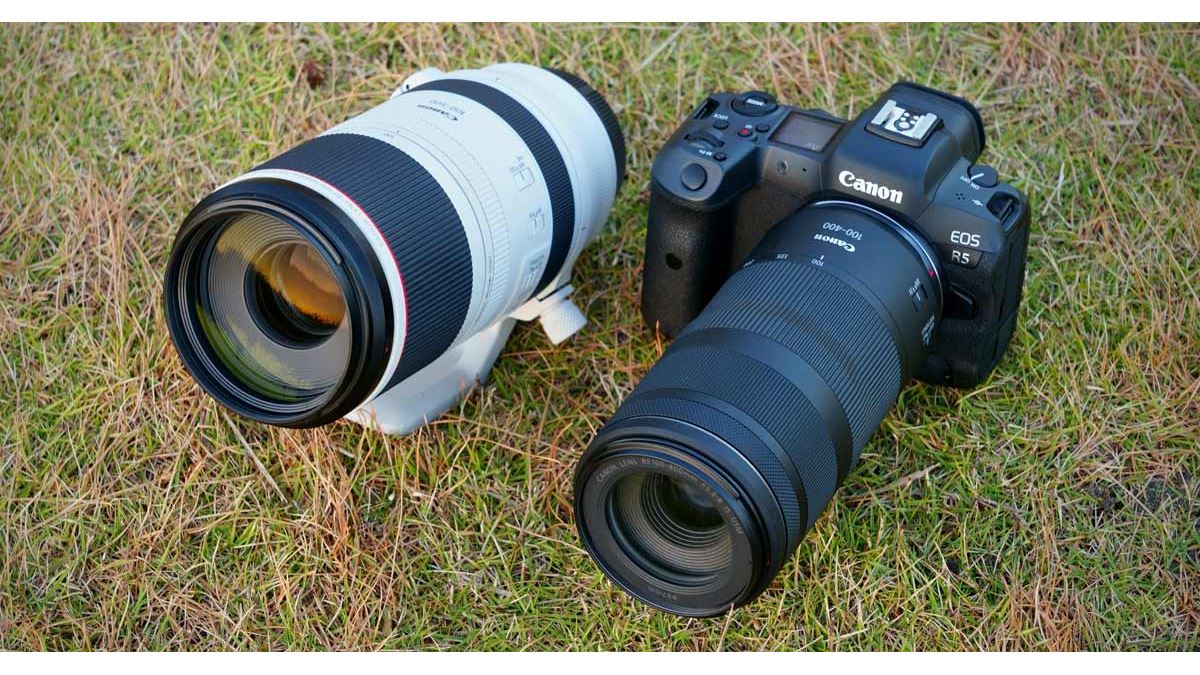 Lレンズvs.普及レンズ！ キヤノン「RFレンズ」の超望遠ズーム2本を徹底