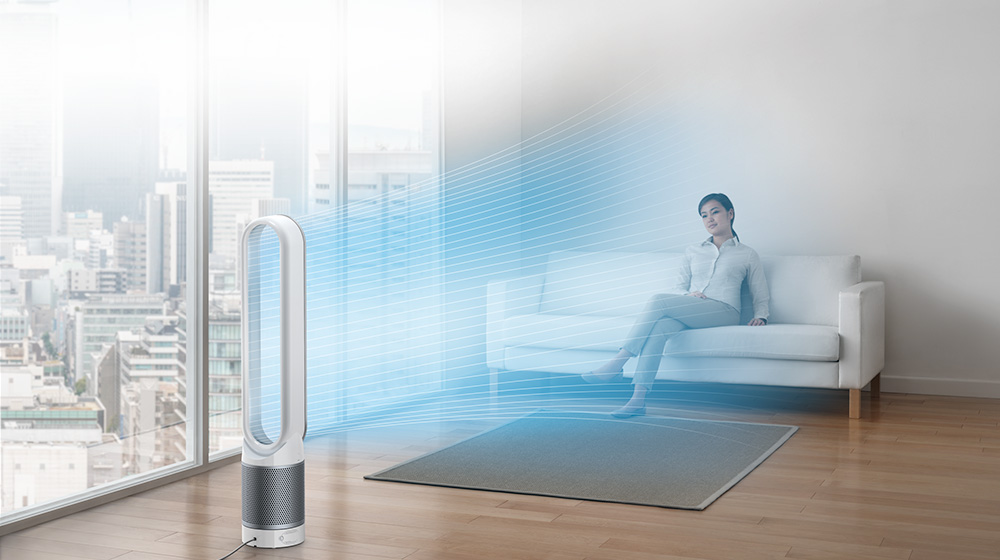 ダイソン Dyson Pure Cool AM11WS [ホワイト/シルバー] 価格比較