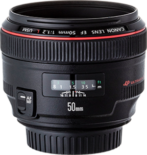 キヤノンEFマウント用50mm単焦点レンズ定番製品比較テスト - 価格.com