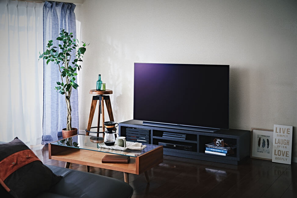 見慣れた映像で極上体験｜LG Electronics OLED55C9PJA｜価格.com