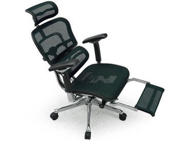 エルゴヒューマン Ergohuman PRO ottoman EHP-LPL KM-14 [グリーン