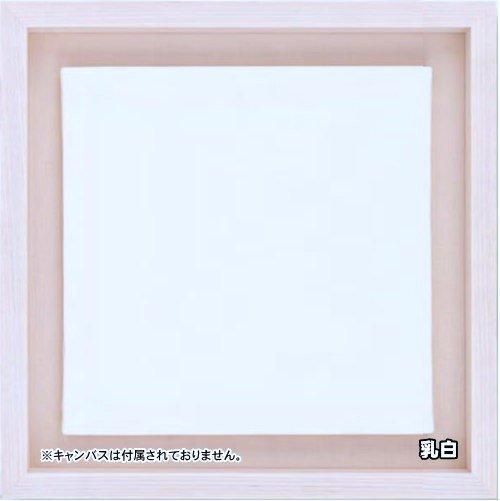 角箱 S3号 アクリル板仕様 油彩額縁 - 額縁 - 激安通販 | 額のまつえだ