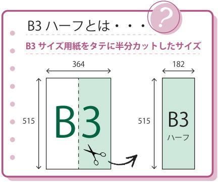 スリムポスターフレーム C920 B3ハーフ 182×515mm B3半裁サイズ 木製
