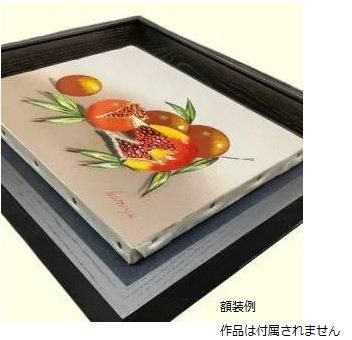 角箱 黒 F30号(f30) 油彩額縁 アクリル板仕様 【大型商品※送料別途お