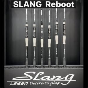 デジーノ DESIGNO - スラング