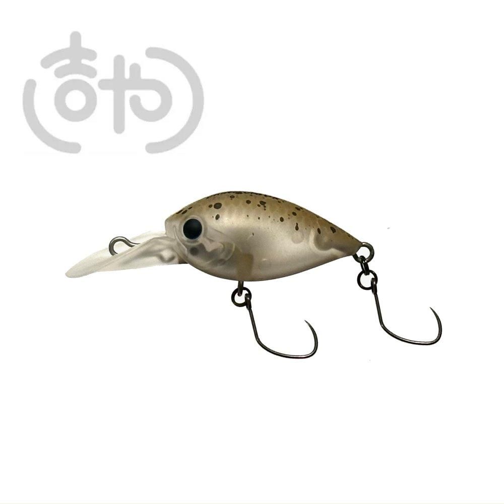 吉やオリカラ：醒ヶ井の主食】ディスプラウト チャタクラDR