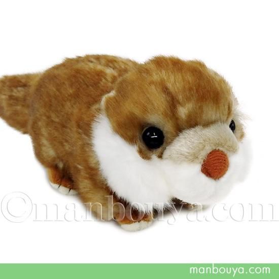 カワウソ ぬいぐるみ グッズ 水族館 キュート販売 CUTE コツメカワウソ