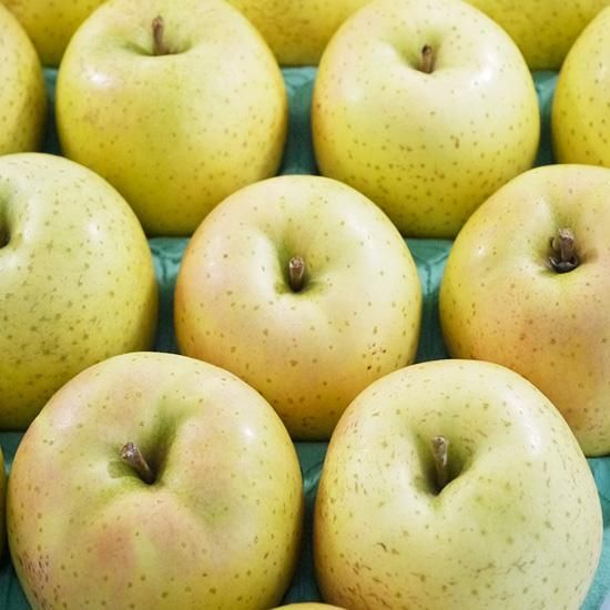 青森りんご 王林の山田果樹園