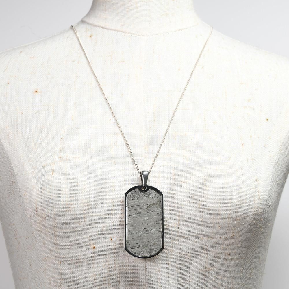 アルタイ隕石 ペンダントトップ 34.4x18.6x2.7mm #QL125 - プレミアム