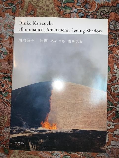 照度 あめつち 影を見る 川内倫子