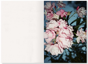 My Photo Books by Lina Scheynius