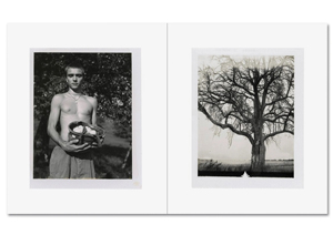 Collier Schorr: August