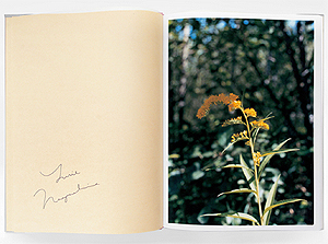 長島有里枝: SWISS