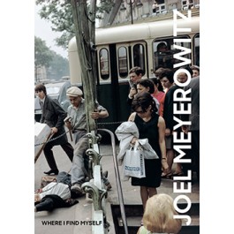 Joel Meyerowitz: Where I Find Myself - A Lifetime Retrospective