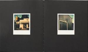 William Eggleston: Polaroid SX-70