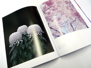 日本写真史 1945-2017 : ヨーロッパからみた「日本の写真」の多様性