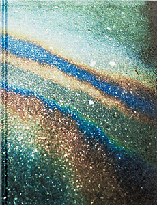 Theo Gosselin: Sans Limites - shelf