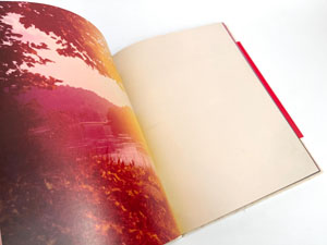 Mark Borthwick: Abandom Reverie`