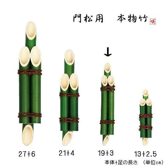 門松 竹（3本組竹 緑) 突起付 フラワーアレンジ素材 19cm+突起3cm丈