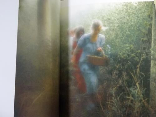 David Hamilton: Erotische Geschichten デヴィッド・ハミルトン