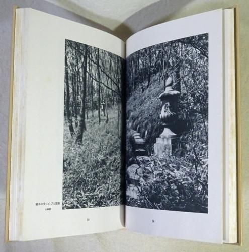 飯田十基庭園作品集 - 古本買取販売 ハモニカ古書店 建築 美術 写真集