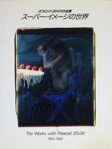 スーパー・イメージの世界 ポラロイド20×24作品集 The Works with