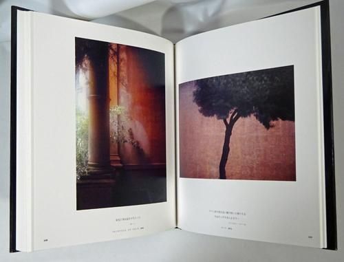 陽の当たる場所 デビッド・ハミルトン写真集 - 古本買取販売 ハモニカ