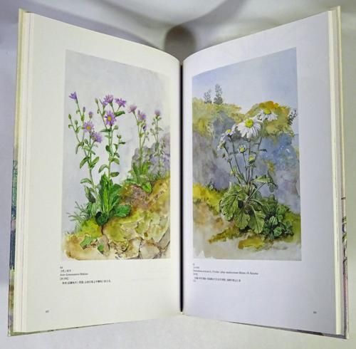 日本山草図譜 日本山草図譜 日本山草図譜