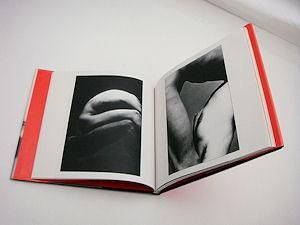 抱擁 細江英公 ソノラマ写真選書4 - 古本買取販売 ハモニカ古書店 建築