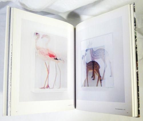 名和晃平 シンセシス Kohei Nawa Synthesis - 古本買取販売 ハモニカ古