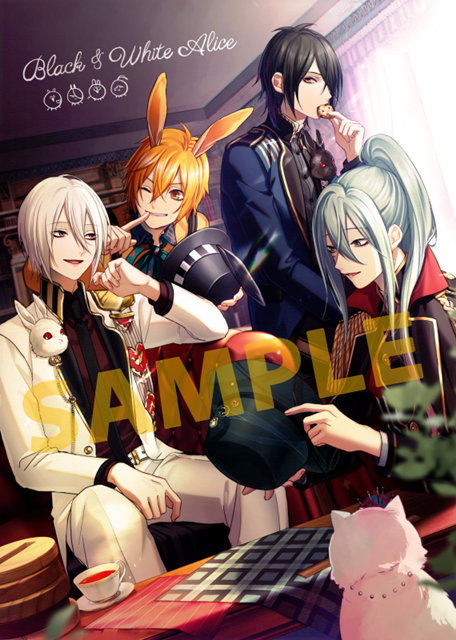 ゲーム『白と黒のアリス for Nintendo Switch』アニメイト限定セットを