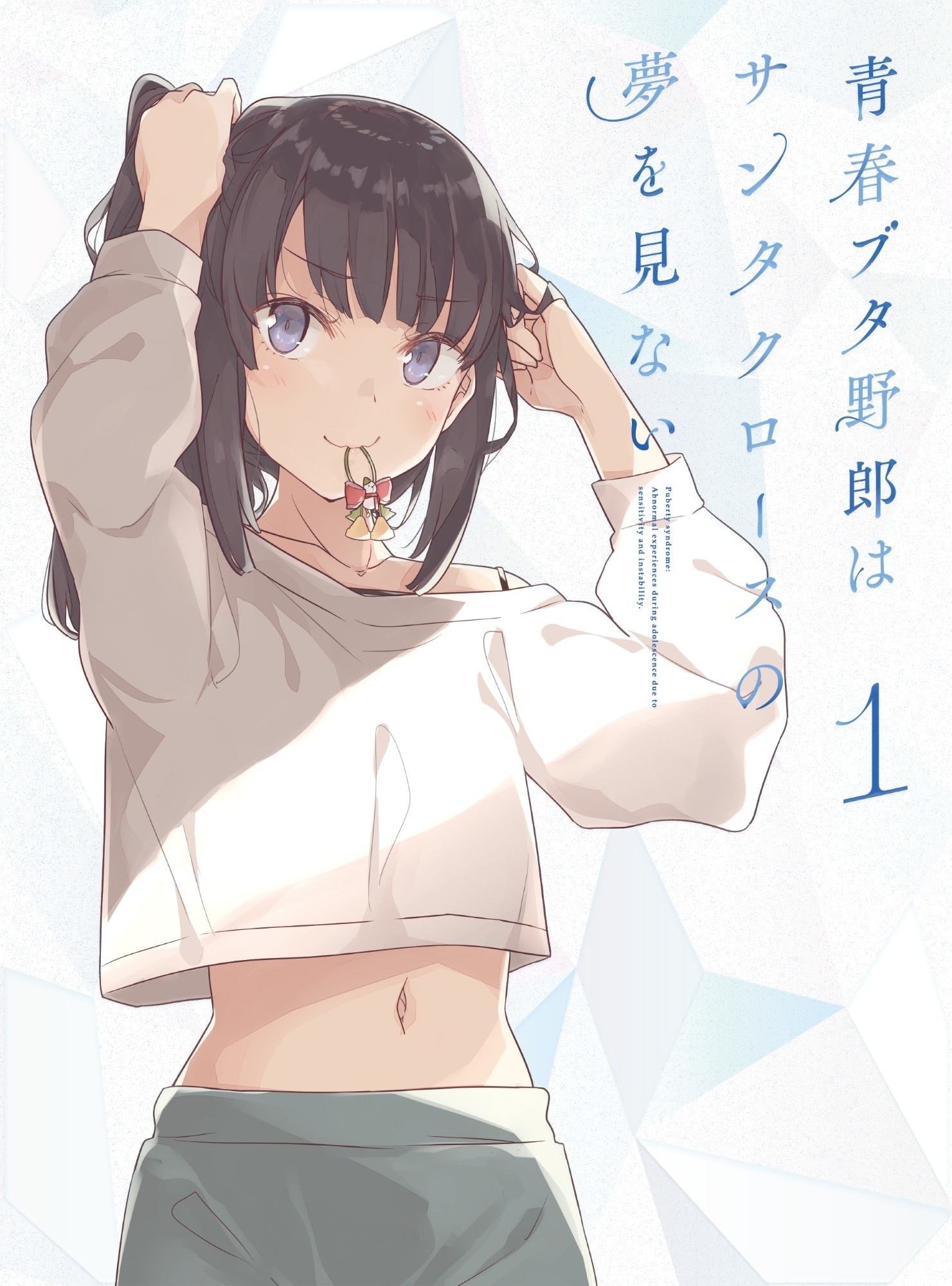 青春ブタ野郎はサンタクロースの夢を見ない』BD＆DVD発売決定