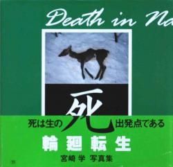 死 宮崎学写真集 Death in Nature Miyazaki Manabu - 古本買取 2手舎