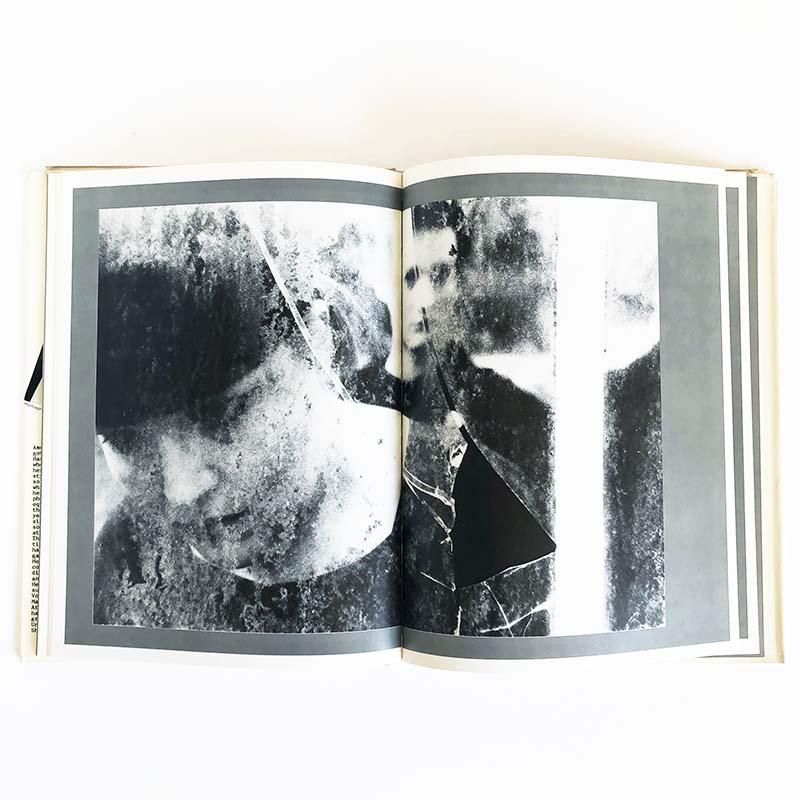 WALLFLOWER by Deborah Turbevilleデボラ・ターバヴィル - 古本買取 2