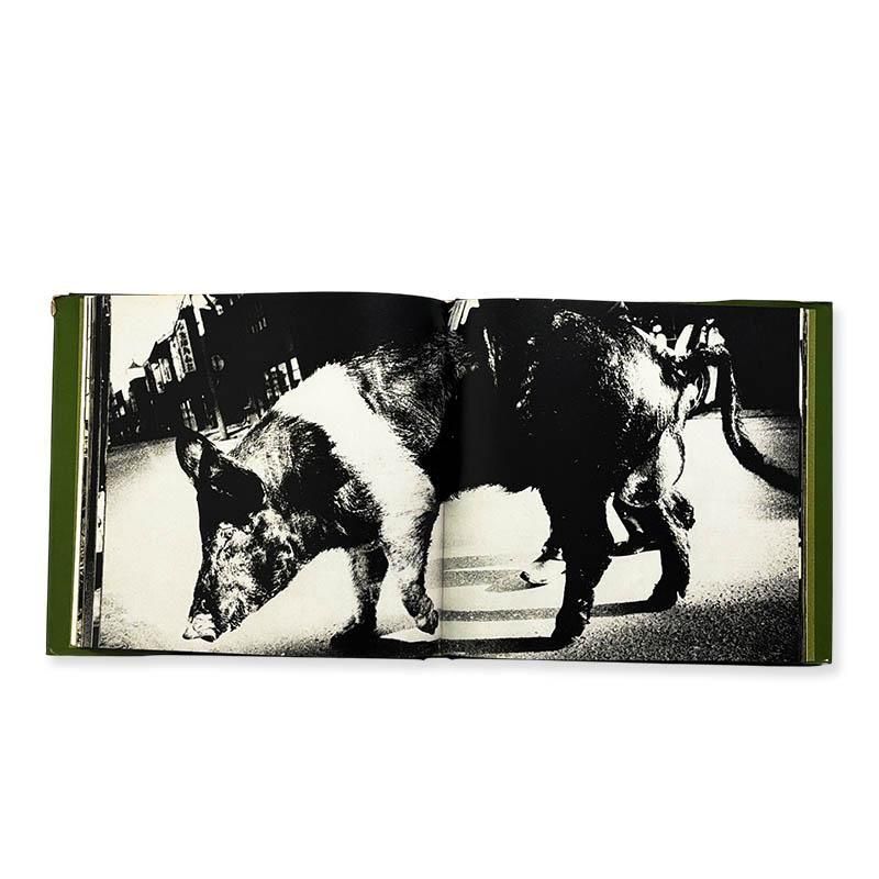 Daido Moriyama: JAPAN, A PHOTO THEATER 2続にっぽん劇場写真帖 森山