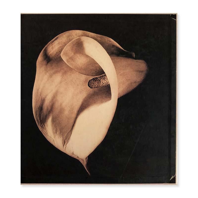 PISTILS by Robert Mapplethorpeロバート・メイプルソープ - 古本買取