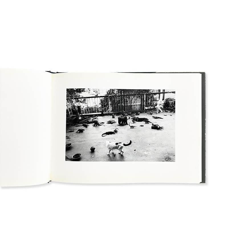 Nobuyoshi Araki: Sentimental Journey, Spring Journeyセンチメンタル