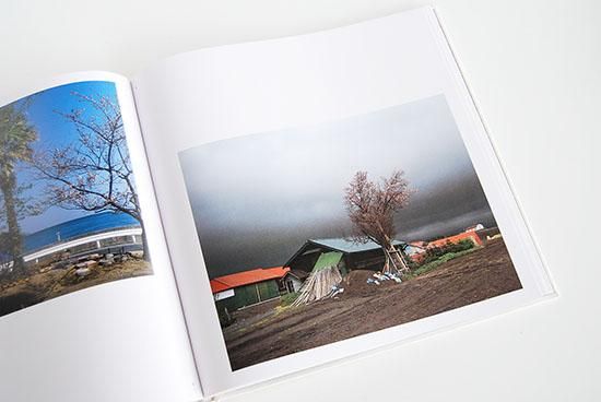 さくら・桜・サクラ120 東松照明 作品集 SAKURA120 Shomei Tomatsu