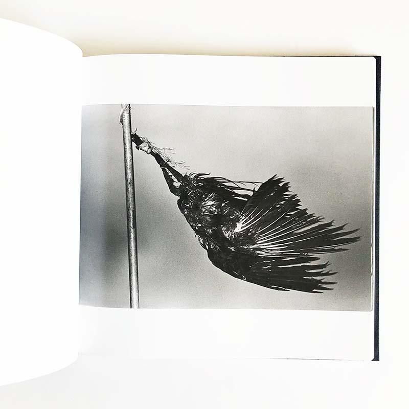 RAVENS MACK Edition by MASAHISA FUKASE *unopened鴉 マック版 深瀬