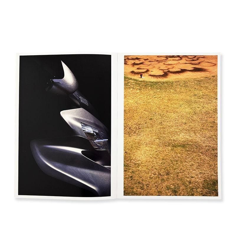 THIS YEAR'S MODEL Go Itami 伊丹豪 写真集 - 古本買取 2手舎/二手舎